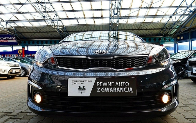 Kia Rio cena 48899 przebieg: 97000, rok produkcji 2018 z Złoczew małe 781